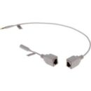 AXIS 01590-001 Digital Audio Extension Kit, Extends T8355 Digital Microphone, up to 3.5mm Connector