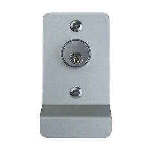 Detex 03PX628XRC65AA Pull Plate for Value Series Exit Devices with Cylinder Hole, Satin Aluminum