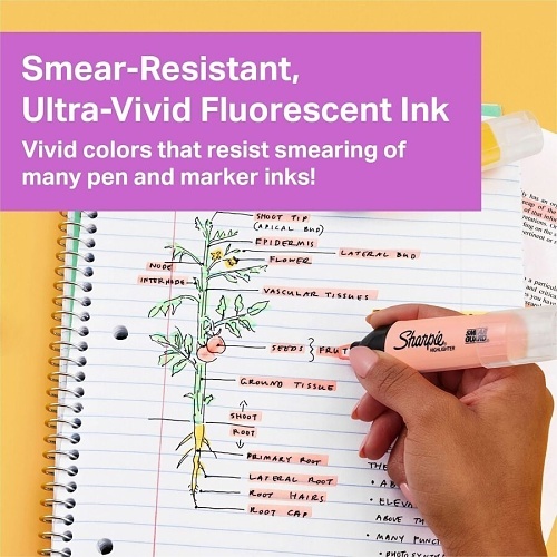 Sharpie 2149298 Clear View Tank Highlighters, See-Through Chisel Tip, Assorted Colors, 12-Pack