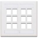 Leviton 42080-12W Dual-Gang QuickPort Wall Plate with ID Windows, 12-Port, White