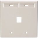 Leviton 42080-1TP Dual-Gang QuickPort Wall Plate with ID Windows, 1-Port, Almond