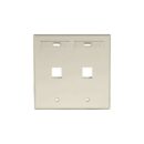 Leviton 42080-2IP Dual-Gang QUICKPORT Wall Plate with ID Windows, 2-Port, Ivory