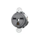 Leviton 5658-SS Single Receptacle, 2-Pole, 3-Wire, 15A, 250V