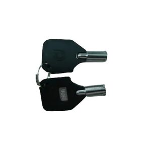 VIVOTEK 660005900G Extra Keys to VIVOTEK NVR Hard Lock, 2-Piece