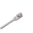 Paige 71054301BL CAT5E 24/4 Unshielded Bare Copper Patch Cable, UTP, 1', Blue