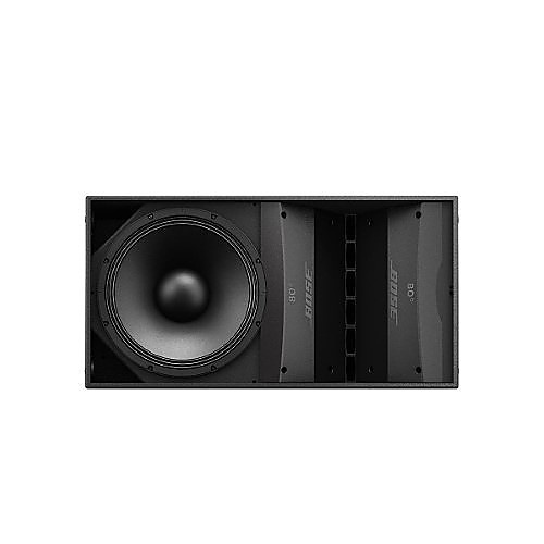 Bose Professional 794042-6650 Speaker, Arenamatch AM10/80 Outdoor Loudspeaker