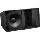 Bose Professional ArenaMatch DeltaQ AM20/100 Outdoor Speaker, Black