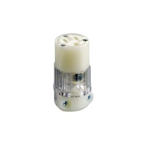 Leviton 8219-CT Closed Connection Heavy-Duty 2-Pole 3-Wire 5-15R Power Plug with Screws, 15A 125V