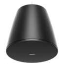 Bose Professional DesignMax DM10P Sub-Loudspeaker, Black