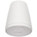 Bose Professional FreeSpace FS2P Pendant Mount Loudspeaker, Pair, White