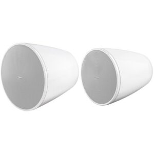 Bose Professional DesignMax DM6PE Pendant Loudspeakers, Pair, White