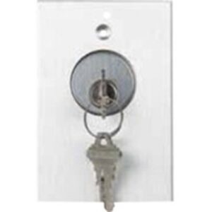 RCI 960 Tamper-Resistant Key Switch, DPDT, Momentary, Brushed Anodized Aluminum