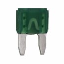 LifeSafety Power A05-206 30A Fuse, 25-Pack