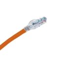 Belden CAF1103010 Patch Cord B10GXF CMR, 10'