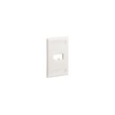 Panduit CFPL2IWY Mini-Com Classic Series 2-Port Faceplate, Off White