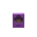 Panduit CJ688TGVL Keystone Jack, Mini-Com Module CAT6 UTP with 8 Position Wiring