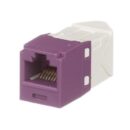 Panduit CJLR688TGVL CAT6 Left/Right 45 Degree TG Wirecap Jack
