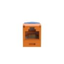Panduit CJLR6X88TGOR CAT6A Left/Right 45 Degree Wirecap Jack TG