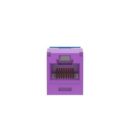 Panduit CJUD6X88TGVL CAT6a Up/Down 45° TG Wirecap Keystone Jack, Violet