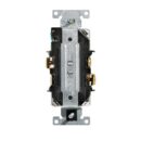 Leviton D8200-IGI Spec HG TR Duplex No Strap/Ear 20A 125V Wall Plate Insert, Ivory