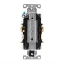 Leviton DT820-IGB Duplex Receptacle with High-Grade Isolation Ground, 2 Pole, 3 Wire, 15A, 125V, Brown