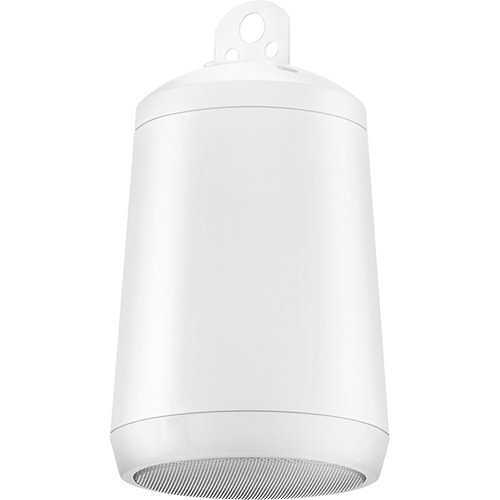 Electro-Voice EVID-P2.1 Electro-Voice EVID P2.1 Pendant Mount Speaker, White
