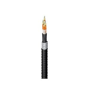 Belden FD1D024FJ Fiber Optic Cable