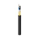 Belden FD1L012RG Fiber Optic Cable