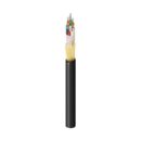 Belden FD1L096RG Fiber Optic Cable