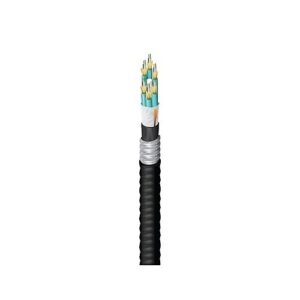 Belden FD3D036AJ Fiber Optic Cable