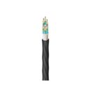 Belden FD3D072LK Fiber Optic Patch Cord, FD DNTB OM3 72F ZNR