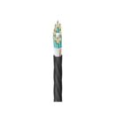 Belden FD3D096LK Fiber Optic Cable