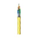 Belden FD4D036PK Fiber Optic Cable