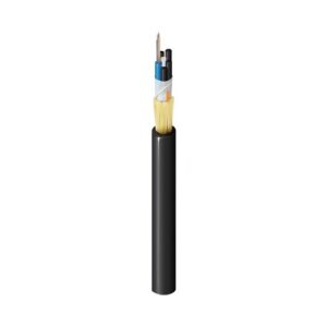 Belden FDSL012RG Fiber Optic Cable