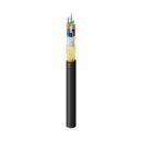 Belden FDSL024RF Fiber Optic Cable