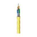 Belden FI4D036PK Fiber Optic Cable
