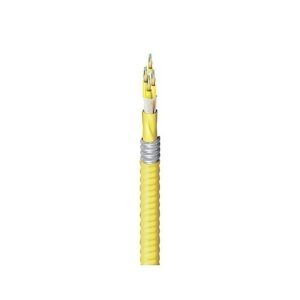 Belden FISD024AJ Indoor Plenum OS2 Distribution 24-Fiber Aluminum Interlocked Cable, Yellow