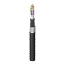 Belden FISD144AKA Fiber Optic Cable