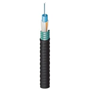 Belden FS1C010N0 Fiber Optic Cable
