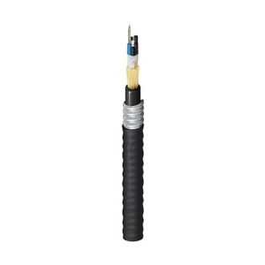 Belden FS1L0126G Fiber Optic Cable