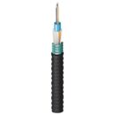 Belden FS3C01260 Fiber Optic Cable