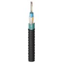 Belden FS3C02460 Fiber Optic Cable