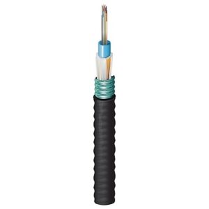 Belden FS3C02460 Fiber Optic Cable
