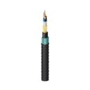 Belden FS4H0246G Fiber Optic Cable, FS HDLT OM4 24F OSPCST