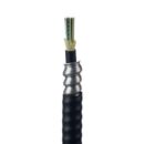 Panduit FSLP606 6-Fiber Cable, OM1, Indoor / Outdoor Armored TB, 62.5Mu
