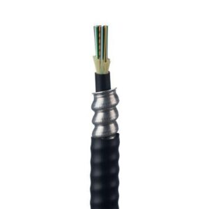 Panduit FSLR906 6-Fiber Cable, OS2, Indoor / Outdoor Armored TB, 9Mu