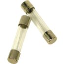 Altronix FUSE5 Fuse, Slow Blow, 5A, 100-Pack