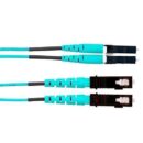 Panduit FX2ERLNSNSNM030 Fiber Optic Patch Cord, OM3 2-Fiber 1.6mm PC OFNR Line Card1 Duplex/Silver Coated Copper Duplex, Standard, 30m