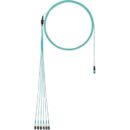 Panduit FX8RL7NUSQNM011 Fiber Optic Patch Cable, OM3 Fiber Round Harness with LSZ and LSZH PANMPO FE