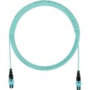 Panduit FXTRP7N7NANM008 12-Fiber Round Harness Cable Assembly, OM3, OFNP, PanMPO F to PanMPO F